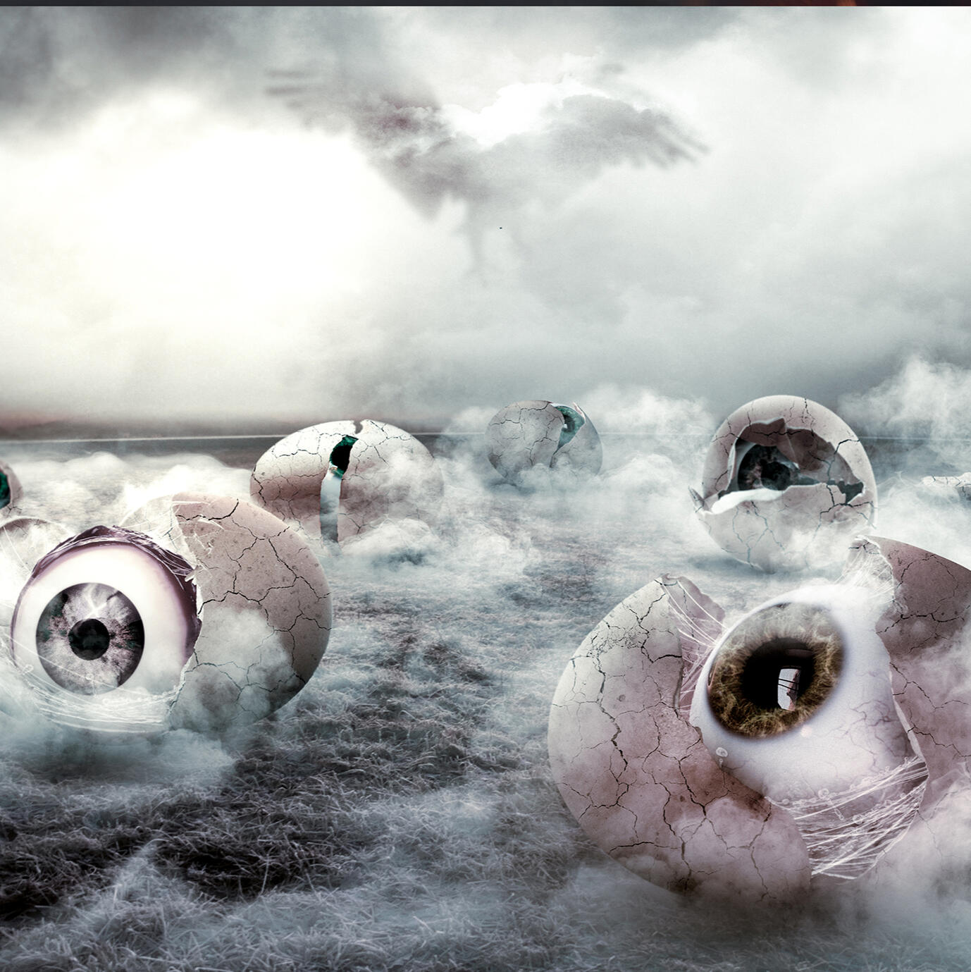 Eggcelent Photomanipulation